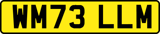 WM73LLM