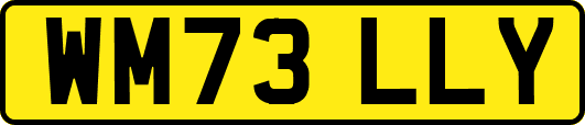 WM73LLY