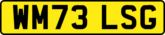 WM73LSG