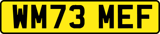 WM73MEF