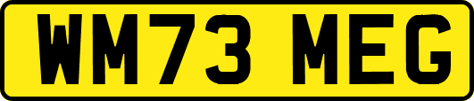 WM73MEG