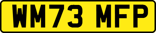 WM73MFP