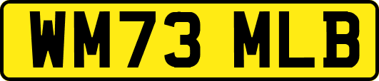 WM73MLB