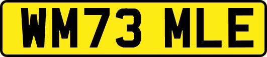 WM73MLE