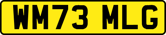 WM73MLG