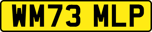 WM73MLP