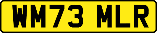 WM73MLR