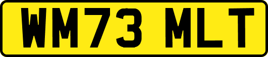 WM73MLT