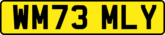 WM73MLY