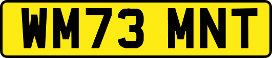 WM73MNT