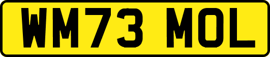 WM73MOL