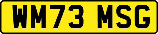 WM73MSG