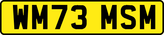 WM73MSM