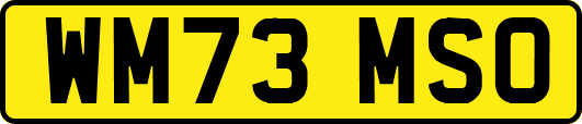 WM73MSO