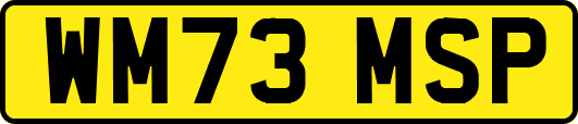 WM73MSP
