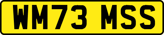 WM73MSS