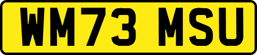 WM73MSU