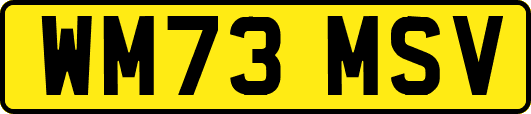 WM73MSV