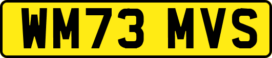 WM73MVS