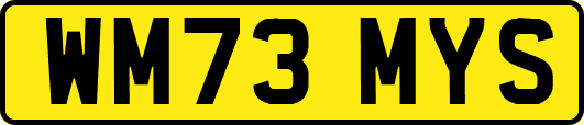 WM73MYS