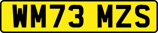WM73MZS