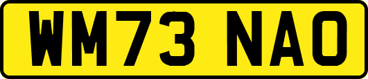 WM73NAO