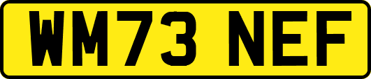 WM73NEF