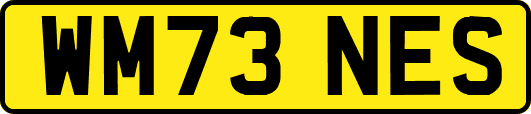 WM73NES