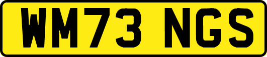 WM73NGS
