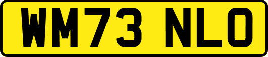 WM73NLO