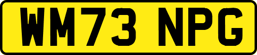 WM73NPG