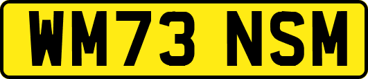 WM73NSM