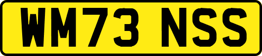 WM73NSS