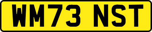 WM73NST