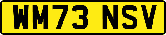 WM73NSV