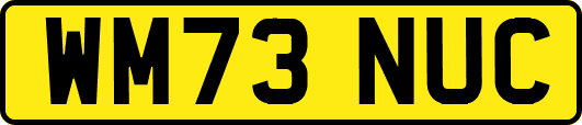 WM73NUC