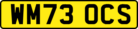 WM73OCS