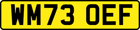 WM73OEF