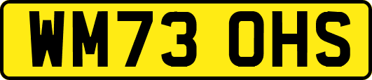 WM73OHS