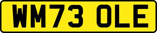WM73OLE
