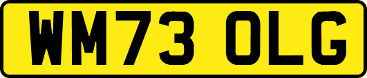 WM73OLG