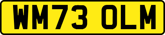 WM73OLM