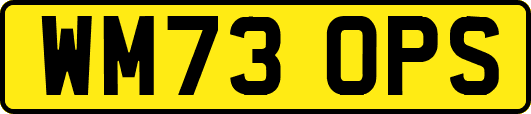 WM73OPS