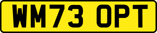 WM73OPT