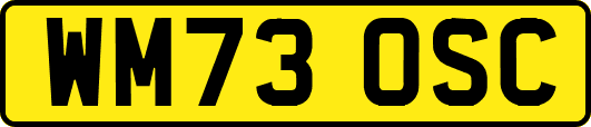WM73OSC