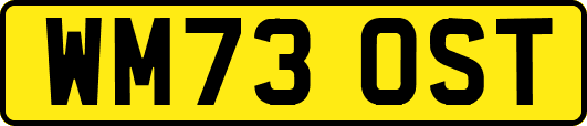 WM73OST
