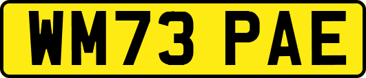 WM73PAE