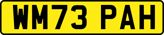 WM73PAH