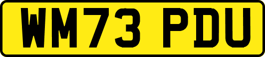 WM73PDU