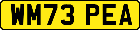 WM73PEA